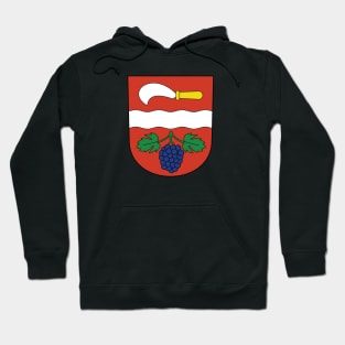 Rickenbach Hoodie